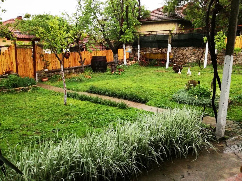 Divna Guest House กรูชูนา ภายนอก รูปภาพ